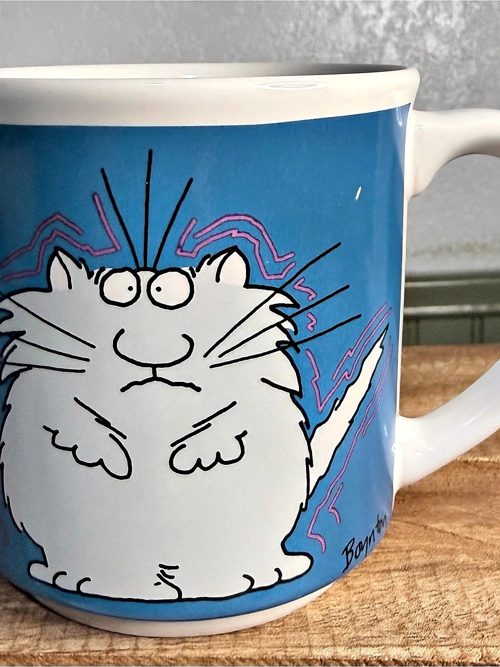 Recycled Paper Products Sandra Boynton Please Hassle Me I Thrive On Stress Cat